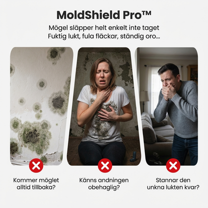 MoldShield Pro™ Schimmelspray – Snabb rengöring för renare väggar och friskare känsla